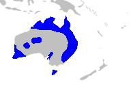 Distribuição natural da subfamília Xanthorrhoeoideae.