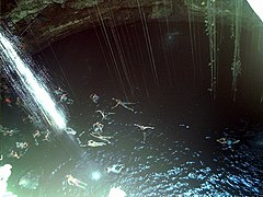 Cénote au Quintana Roo.