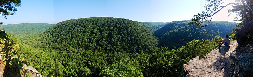 Buffalo Wilderness