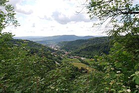 Trimbach vom Hauensteinpass aus gesehen