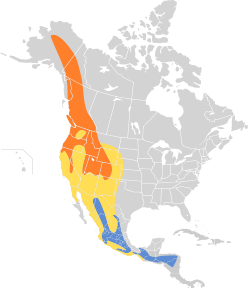 Distribución geográfica del mosquero de Hammond.