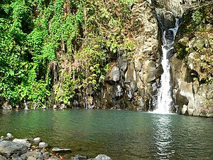 One of the seven falls in Mambukal