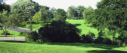 Une multitude d'espèces d'arbre se retrouvent sur les plaines