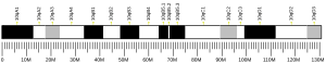 Chromosome 10 (mouse)