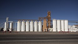 Olton Grain Cooperative