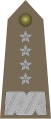 Generał (Polish Army)