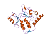 2h0d: Structure of a Bmi-1-Ring1B Polycomb group ubiquitin ligase complex