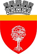 Wappen von Onești