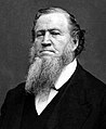 Image 39Brigham Young led the first Mormon pioneers to the Great Salt Lake. (from Utah)
