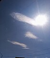 Cirrocumulus lenticularis