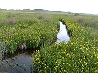 The Niobrara River flowing through Agate Fossil Beds