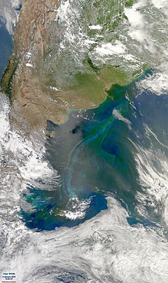 Argentina dənizinin kosmosdan çəkilmiş şəkili. (NASA)