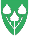 4216 Birkenes I grønt en oppvoksende sølv bjørkekvist med tre blader [201] Grønnfargen symboliserer landbruk.