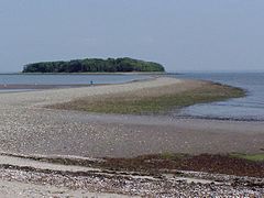Tombolo dégagé à marée basse de Charles Island (Connecticut)