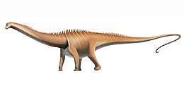 A Diplodocus carnegii rekonstrukciója