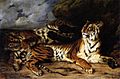 Mladý tiger hrajúci sa s matkou