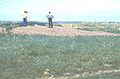 Fort Thompson Mounds