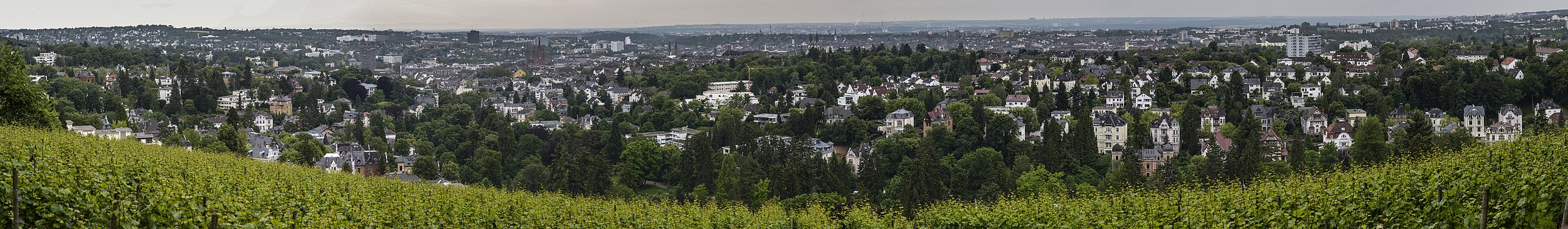 Panorama vun Wiesbaden