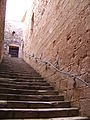 Dragon handrail by Ramon Martí i Martí