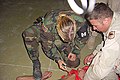 Image 20US Military Police officer restraining and sedating prisoner, while a soldier holds him down (from Political corruption)