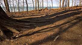 Terrain of Chimney Bluffs State Park, March 2016