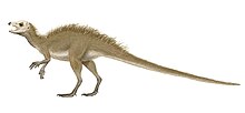 Life restoration of Fruitadens