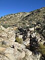 View of Molino Canyon from the Molino Canyon Vista