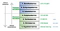 Pienoiskuva 26. toukokuuta 2019 kello 01.48 tallennetusta versiosta