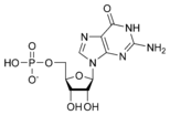Cấu trúc hóa học của guanosine monophosphate