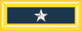 Estats Units: Brigadier general