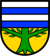 Rascheid