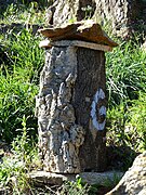 Brusc, ruche traditionnelle en liège près de La Garde-Freinet dans le Var.