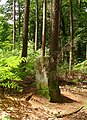 Borne frontière entre la France et l'Allemagne datant de 1830, forêt de Carling, près de la route de Creutzwald.