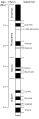 Image 19Geomagnetic polarity during the late Cenozoic Era. Dark areas denote periods where the polarity matches today's polarity, light areas denote periods where that polarity is reversed. (from Earth's magnetic field)