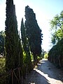 Allée le long des murs.