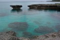 Petón de coral en Lifou.