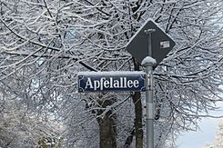 Apfelallee