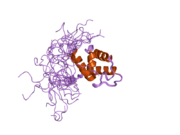 2cq8: Solution structure of RSGI RUH-033, a pp-binding domain of 10-FTHFDH from human cDNA