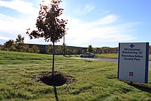 A grassy area with a few trees; an assembly plant is at the back.