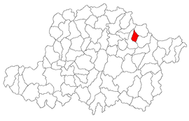 Location in Arad County