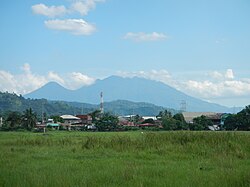 Rice fields of Lumban