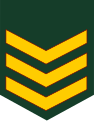 Sarjan (Malaysian Army)[61]