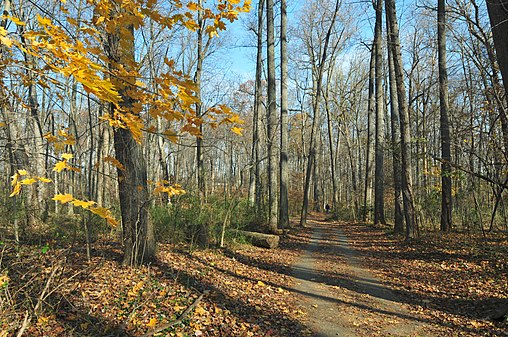 Sligo Creek Trail