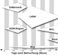 Vorschaubild der Version vom 17:58, 2. Nov. 2008