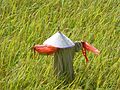 Scarecrow near Hui'an, China