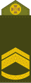 Майстер-сержант Maister-serzhant (Ukrainian Ground Forces)[11]