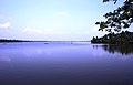 Lagun berhampiran dengan Pantai Cherai di Ernakulam