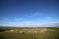 Image 3Arbor Low henge (from History of Derbyshire)