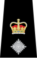 UK police chief superintendent epaulette