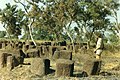 Image 10Megalithic alignments in Senegal (from History of Senegal)